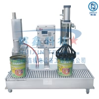 重力式自动灌装机DCS30BGYFB