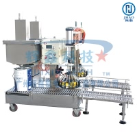 重力式自动灌装机DCS30GYFBII